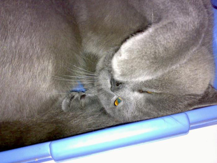 foto k příspěvku  od Dr.Hadson