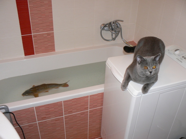 foto k příspěvku  od Milhauzz