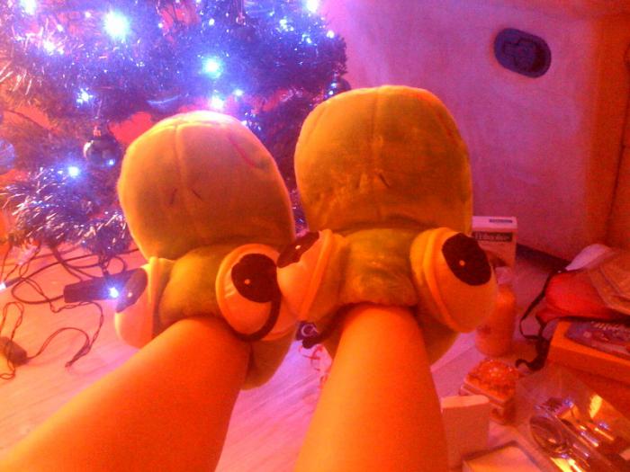 foto k příspěvku  od choze