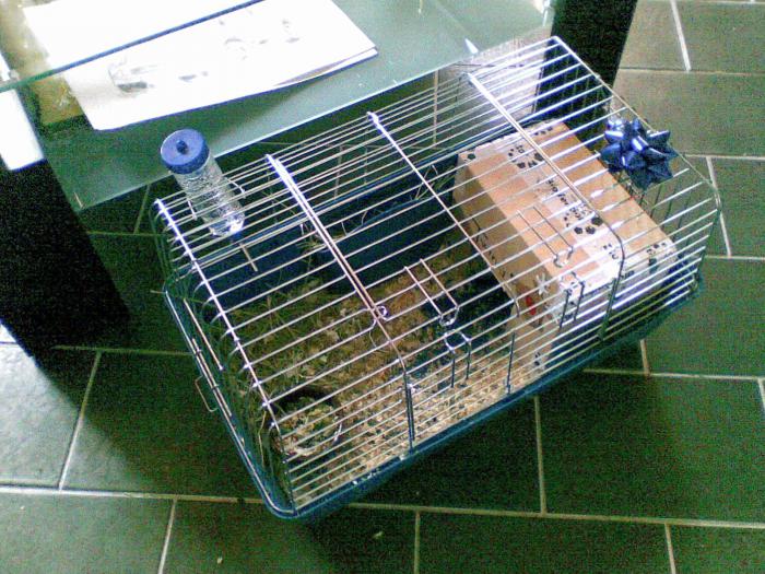 foto k příspěvku  od TheTimo