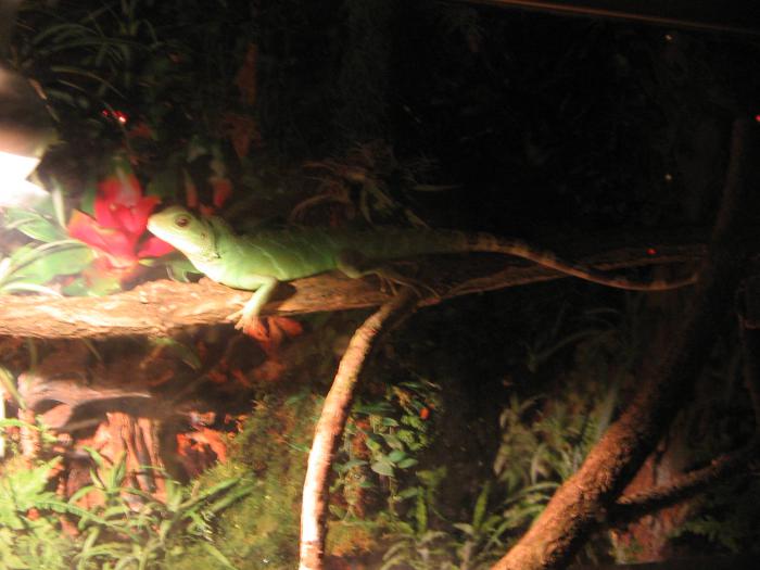 foto k příspěvku  od rover (WoodTech)