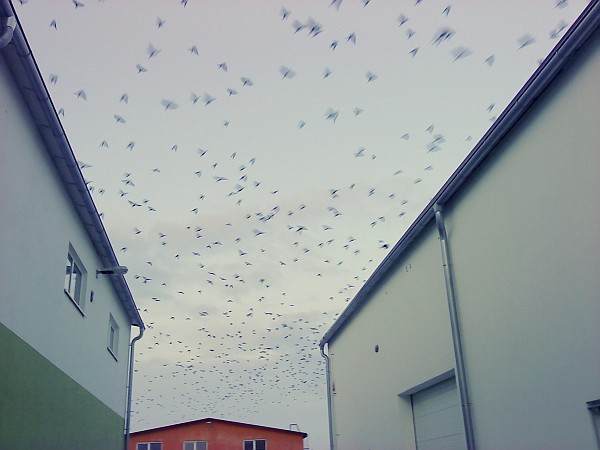 foto k příspěvku  od .mycTD