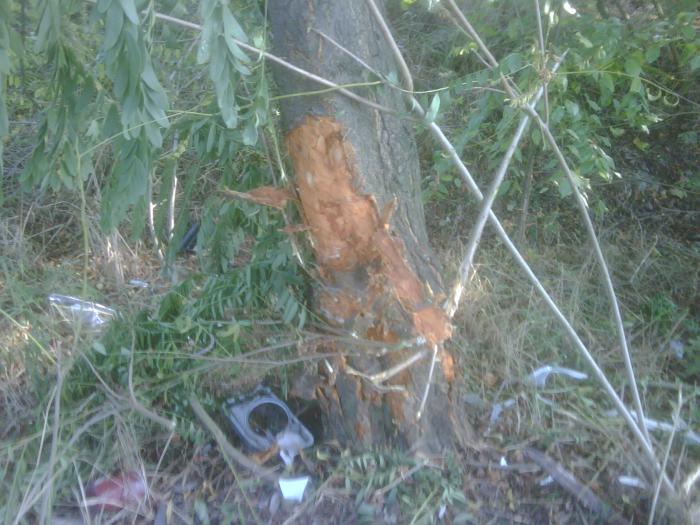 foto k příspěvku  od BULOH