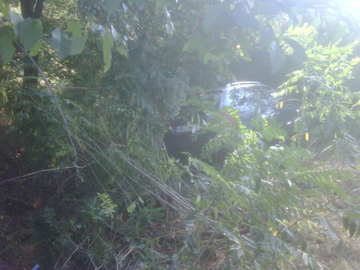 foto k příspěvku  od BULOH