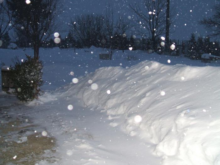 foto k příspěvku  od Kallin