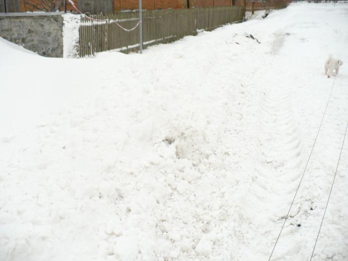 foto k příspěvku  od Dr.Hadson