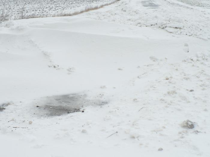 foto k příspěvku  od Dr.Hadson