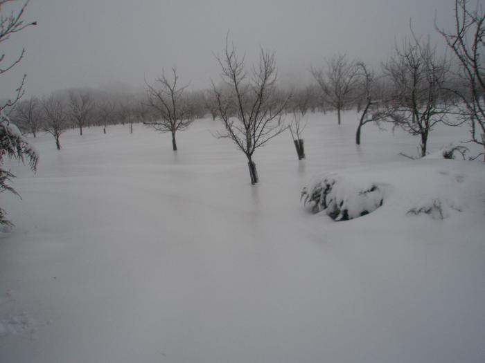 foto k příspěvku  od Ales