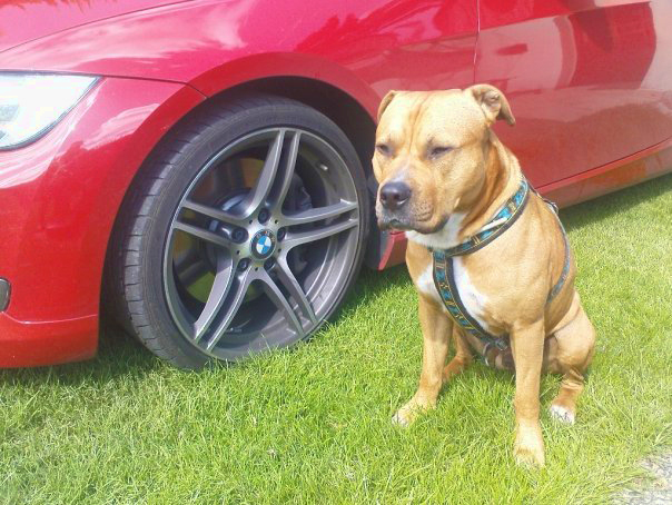 foto k příspěvku  od Martyn