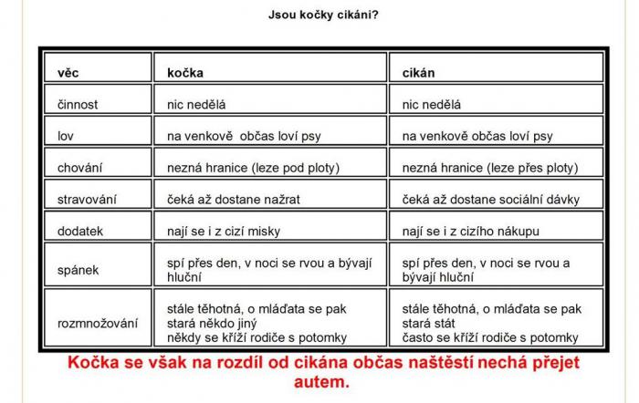 foto k příspěvku  od luda551