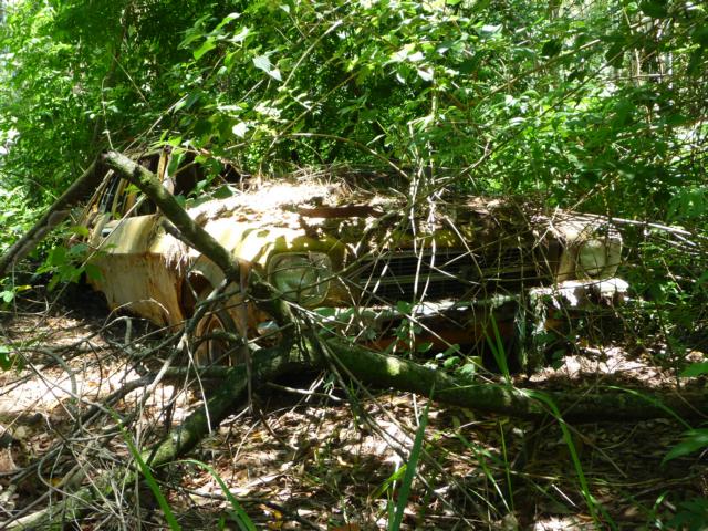 foto k příspěvku  od badczech