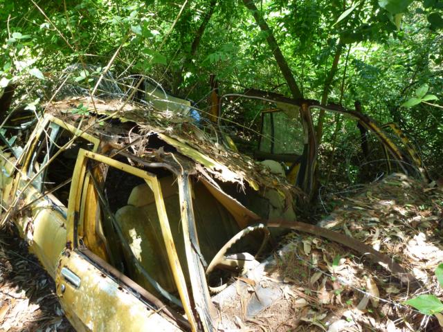 foto k příspěvku  od badczech