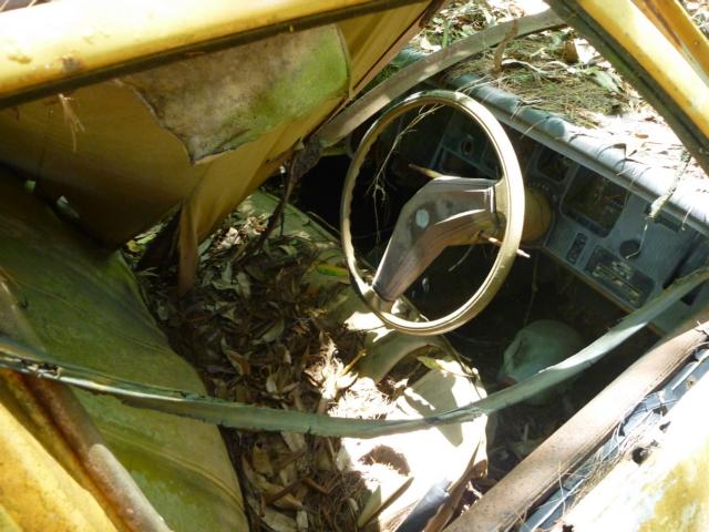 foto k příspěvku  od badczech