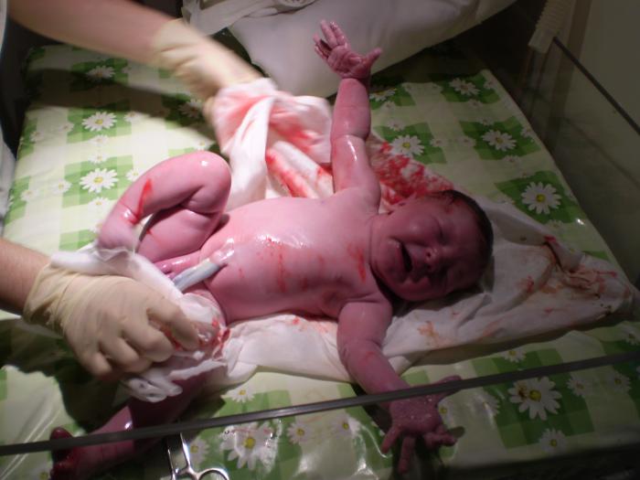 foto k příspěvku  od haskyvr6