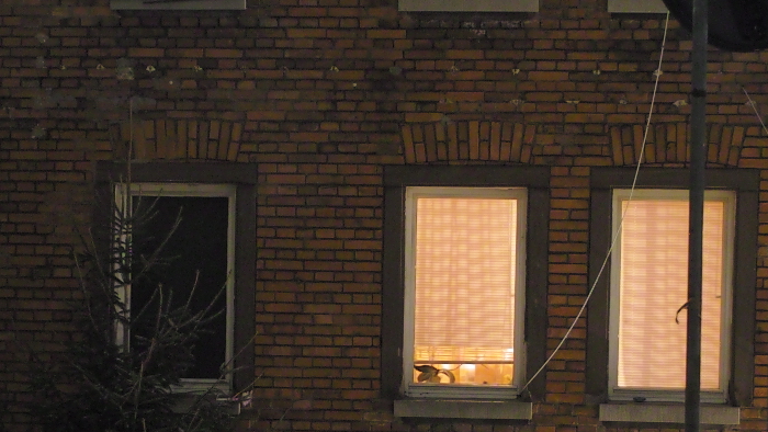 foto k příspěvku  od tappaja