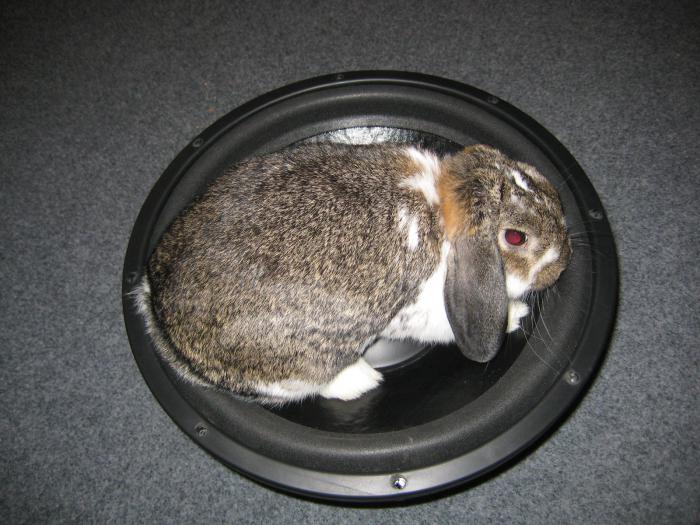 foto k příspěvku  od Kleneex