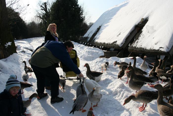 foto k příspěvku  od kral007 (eXtrem-audio.cz)