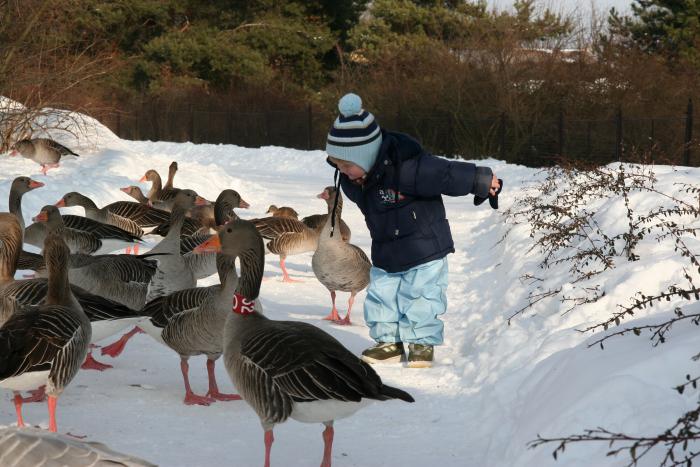 foto k příspěvku  od kral007 (eXtrem-audio.cz)