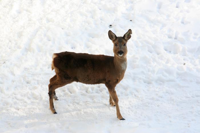 foto k příspěvku  od kral007 (eXtrem-audio.cz)