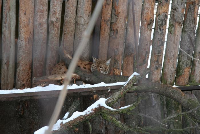 foto k příspěvku  od kral007 (eXtrem-audio.cz)