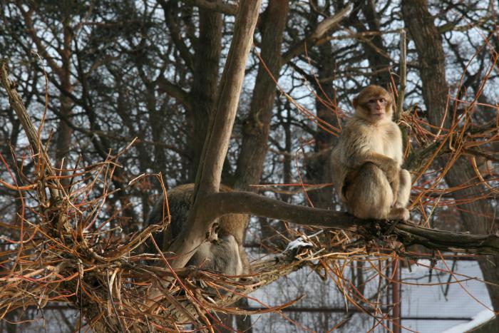 foto k příspěvku  od kral007 (eXtrem-audio.cz)