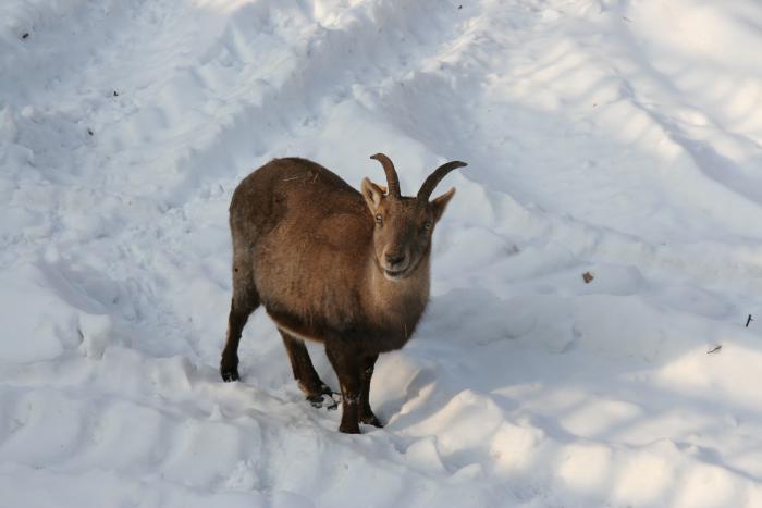 foto k příspěvku  od kral007 (eXtrem-audio.cz)