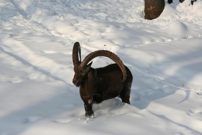 foto k příspěvku  od kral007 (eXtrem-audio.cz)