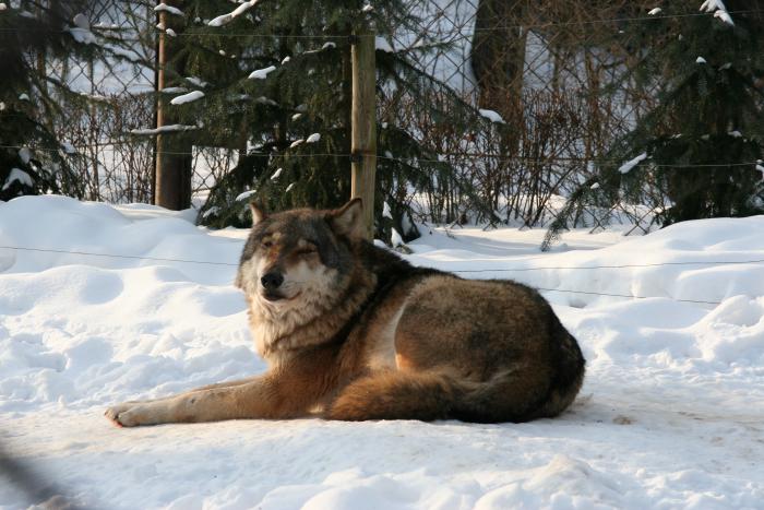 foto k příspěvku  od kral007 (eXtrem-audio.cz)