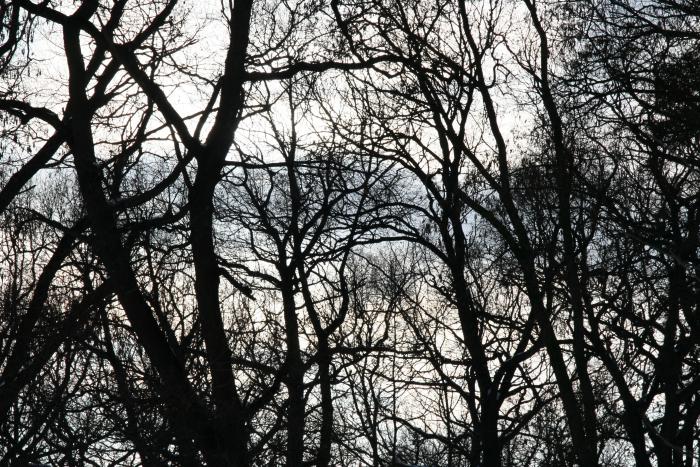 foto k příspěvku  od kral007 (eXtrem-audio.cz)