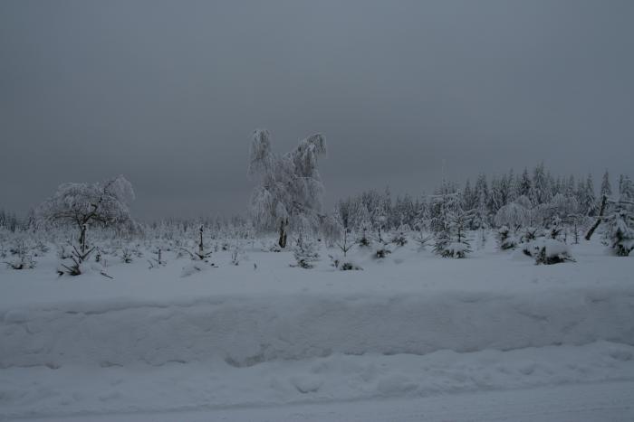 foto k příspěvku  od kral007 (eXtrem-audio.cz)