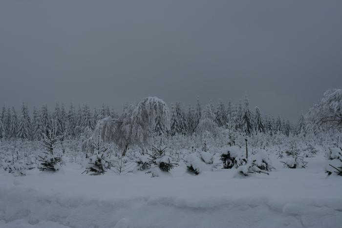 foto k příspěvku  od kral007 (eXtrem-audio.cz)