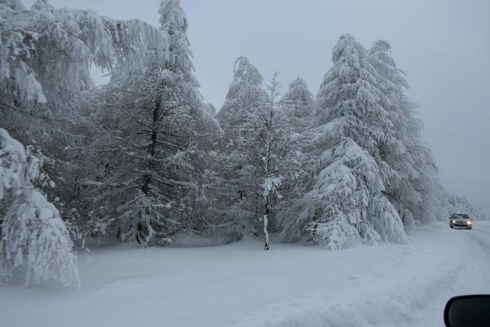foto k příspěvku  od kral007 (eXtrem-audio.cz)