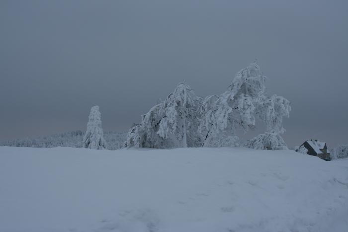 foto k příspěvku  od kral007 (eXtrem-audio.cz)