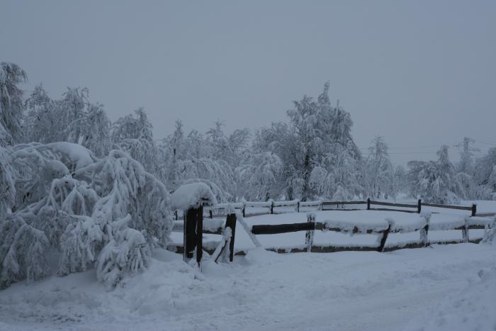 foto k příspěvku  od kral007 (eXtrem-audio.cz)