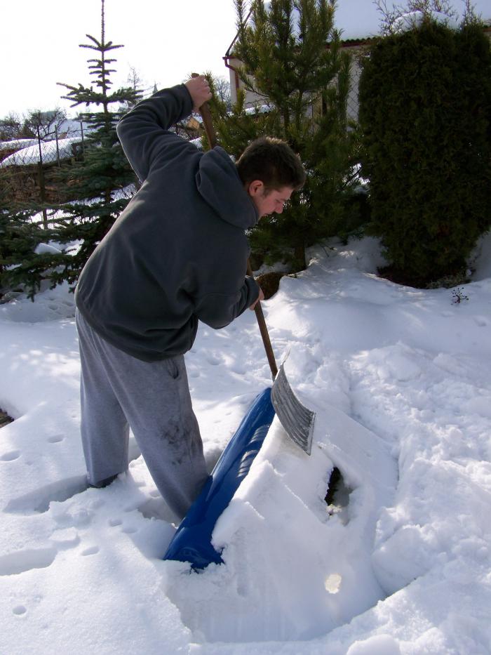 foto k příspěvku  od Kesam