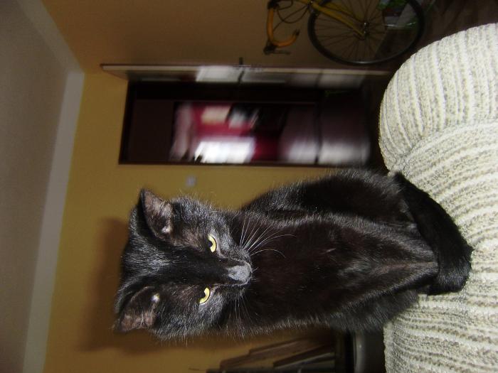 foto k příspěvku  od Honcke