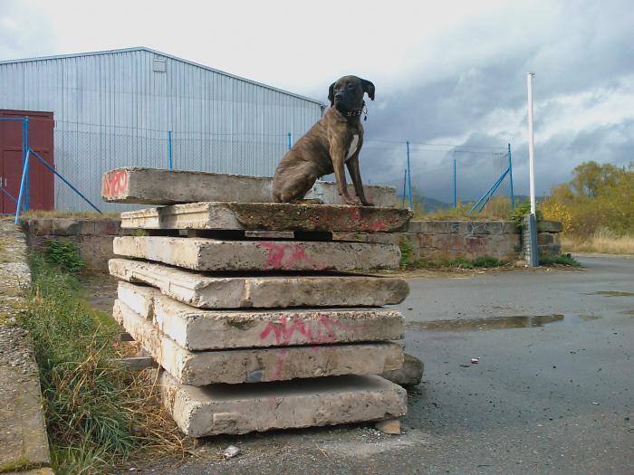 foto k příspěvku  od Jindrs