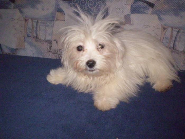 foto k příspěvku  od Luboš1