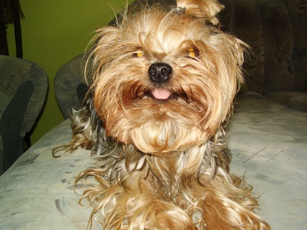 foto k příspěvku  od Mafian25