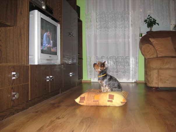 foto k příspěvku  od Lsimak