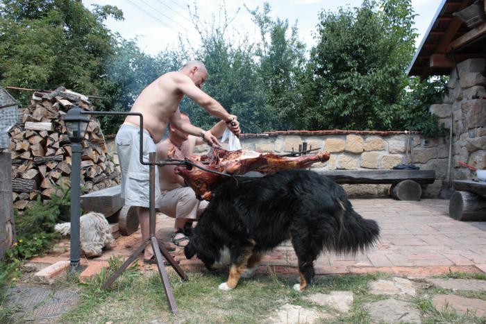 foto k příspěvku  od ibizman