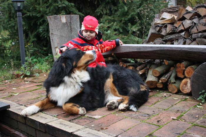 foto k příspěvku  od ibizman