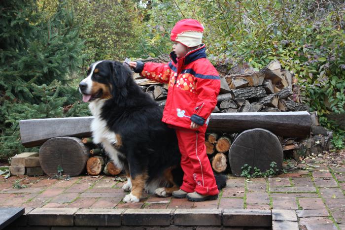 foto k příspěvku  od ibizman