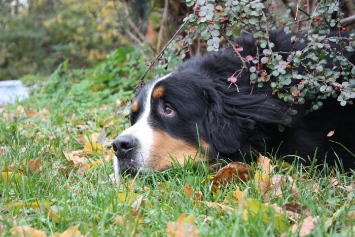 foto k příspěvku  od ibizman