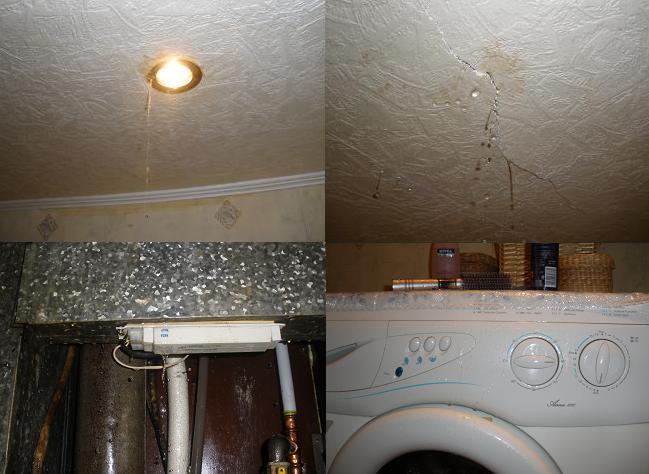 foto k příspěvku  od cendler