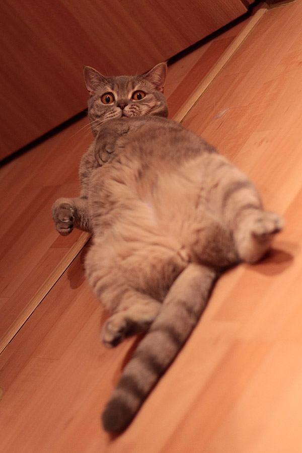 foto k příspěvku  od Mr.Scully