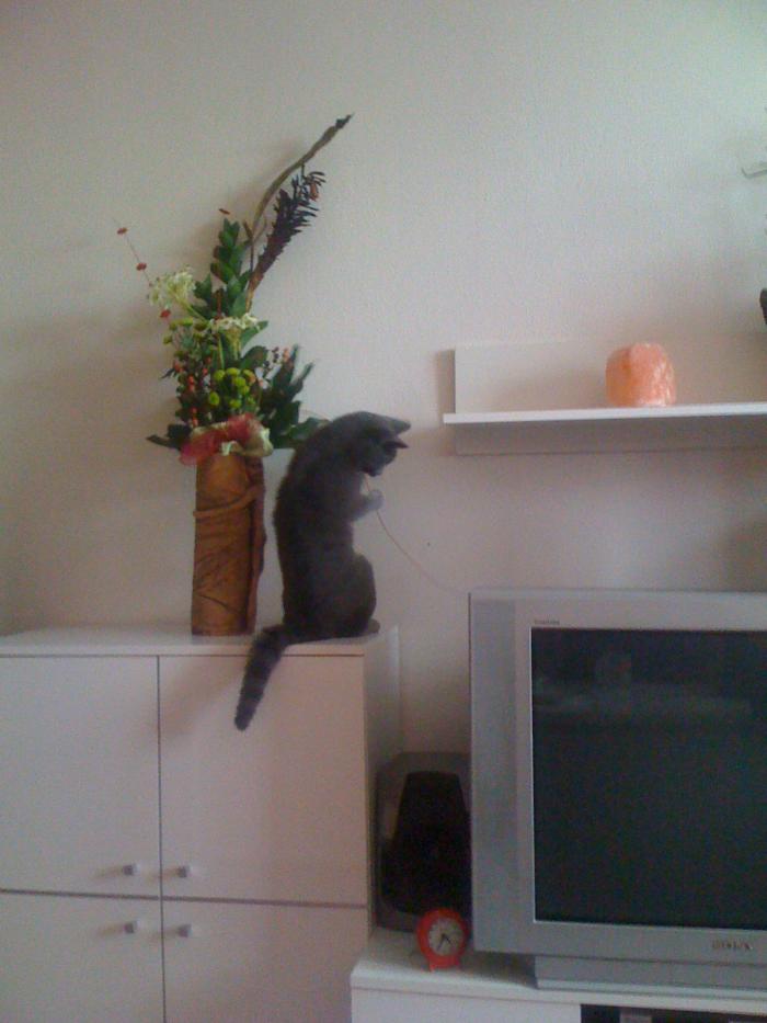 foto k příspěvku  od axetom