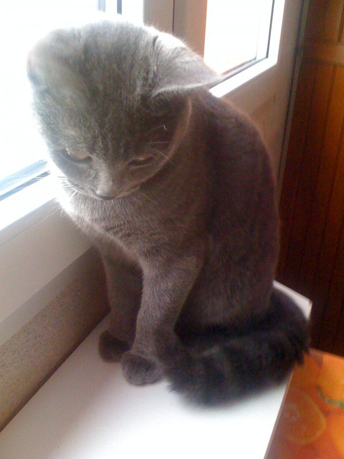 foto k příspěvku  od axetom