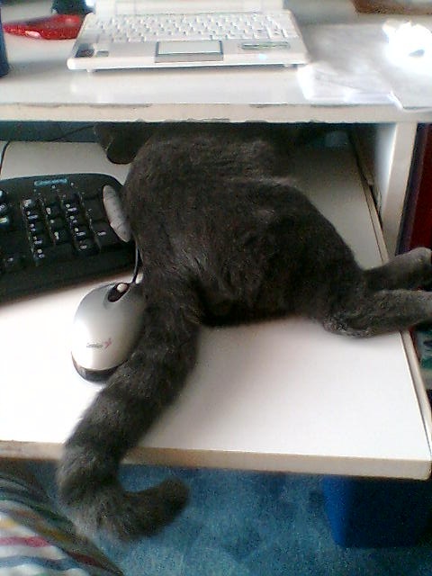 foto k příspěvku  od axetom