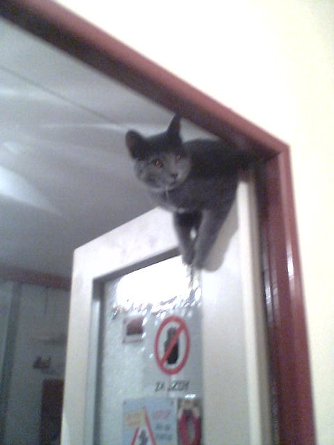 foto k příspěvku  od axetom